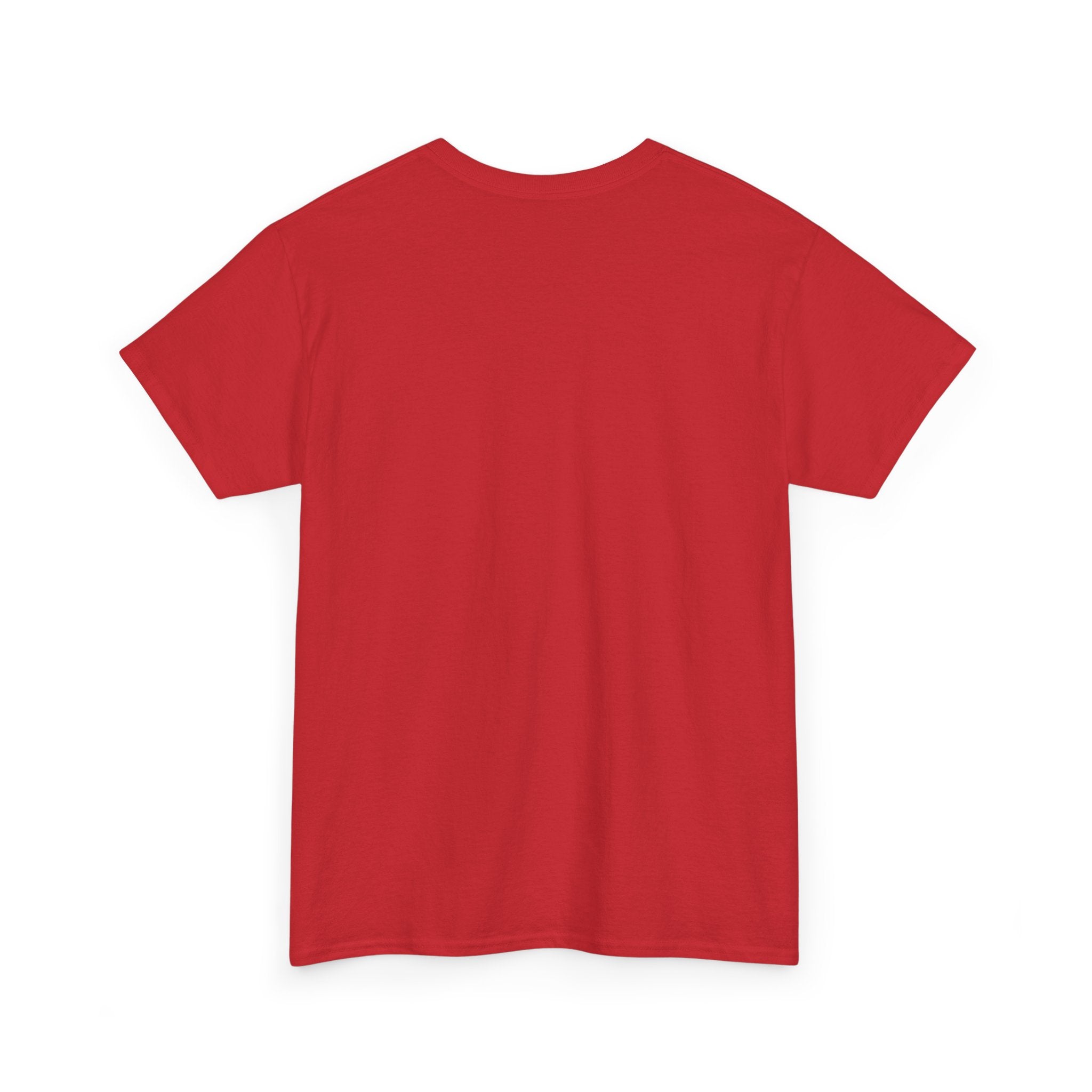 Grumpy Cat Face Fluff Around and Find Out Tee | Funny Cat Quote Shirt